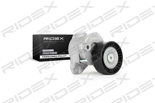 RIDEX 310T0058