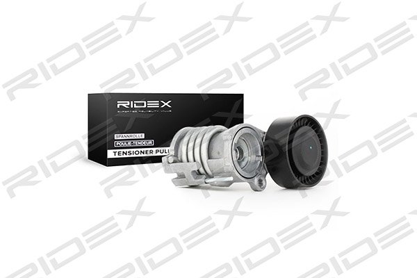 RIDEX 310T0057
