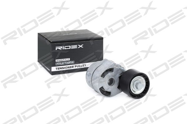 RIDEX 310T0046