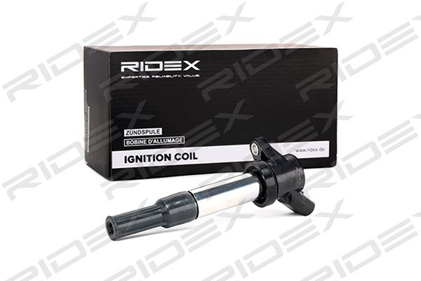 RIDEX 689C0084