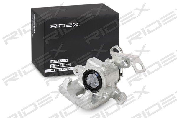RIDEX 78B0379