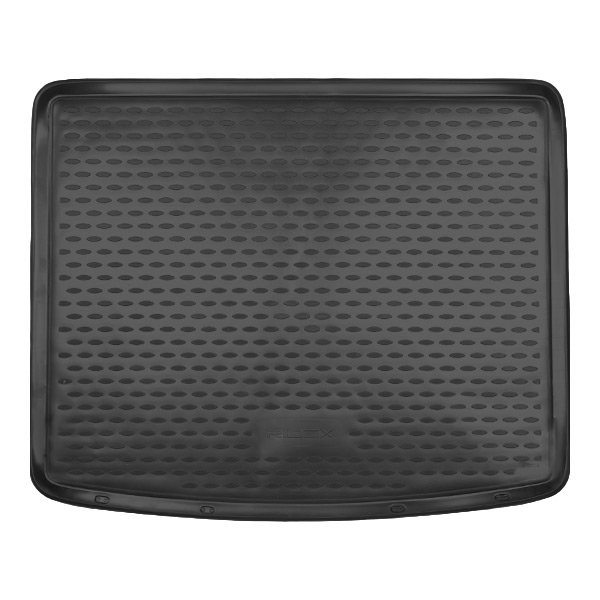 RIDEX 4731A0429