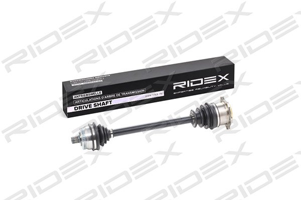 RIDEX 13D0141
