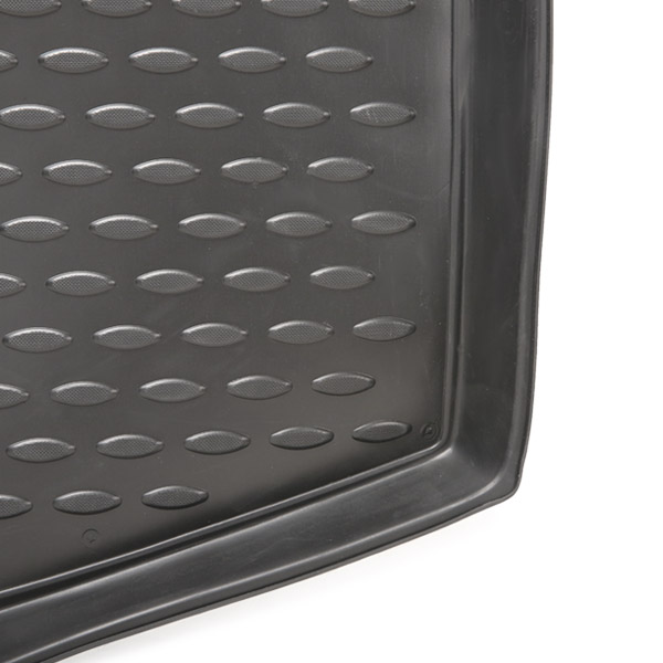 RIDEX 4731A0013