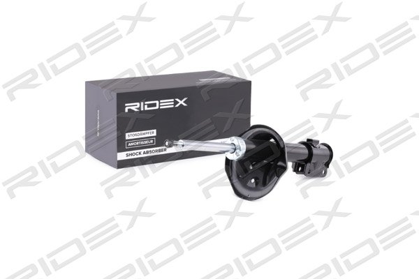 RIDEX 854S0268