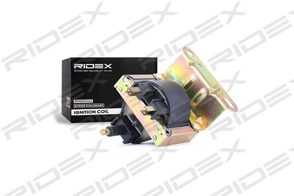 RIDEX 689C0123
