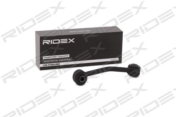 RIDEX 3229S0488