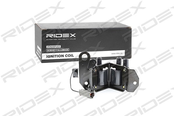 RIDEX 689C0218