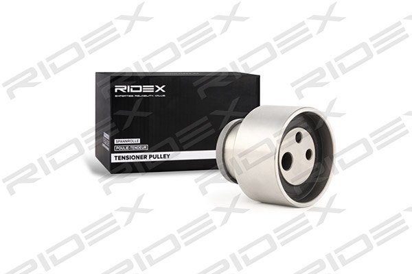 RIDEX 308T0111