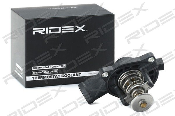 RIDEX 316T0166