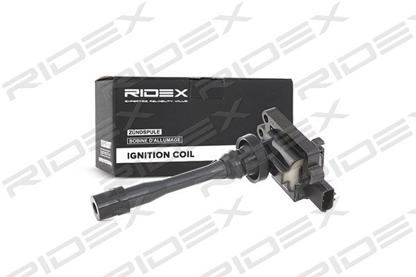 RIDEX 689C0030