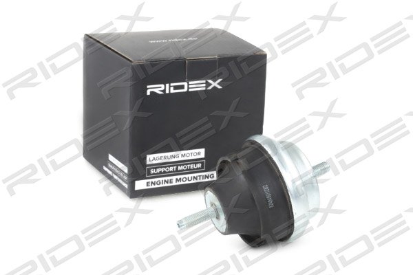 RIDEX 247E0099