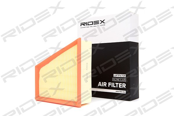 RIDEX 8A0017