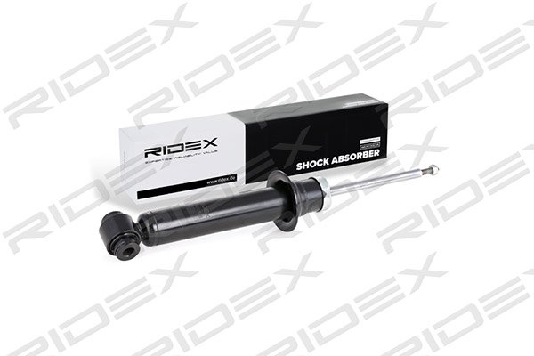 RIDEX 854S0598
