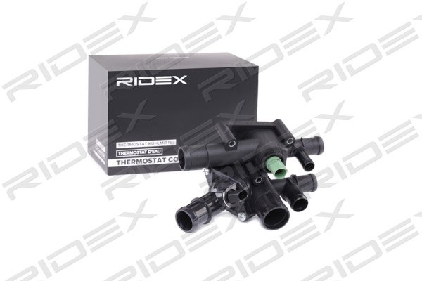 RIDEX 316T0222