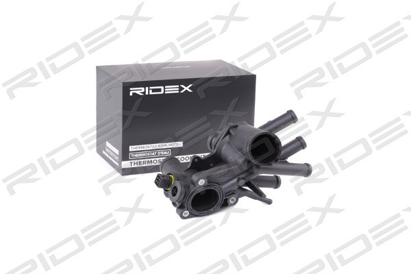 RIDEX 316T0247