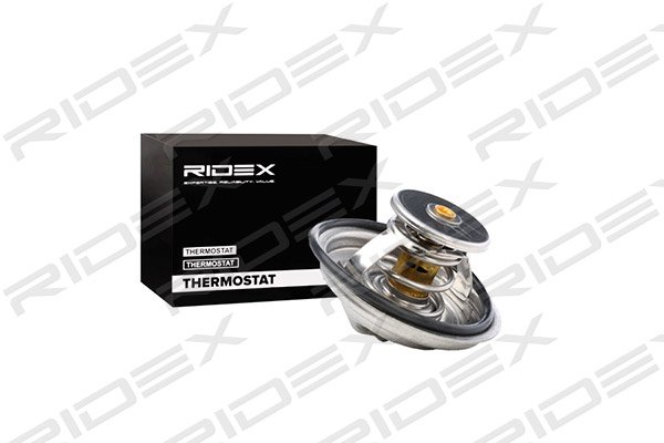 RIDEX 316T0012