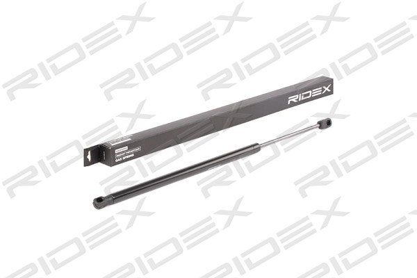 RIDEX 219G0649