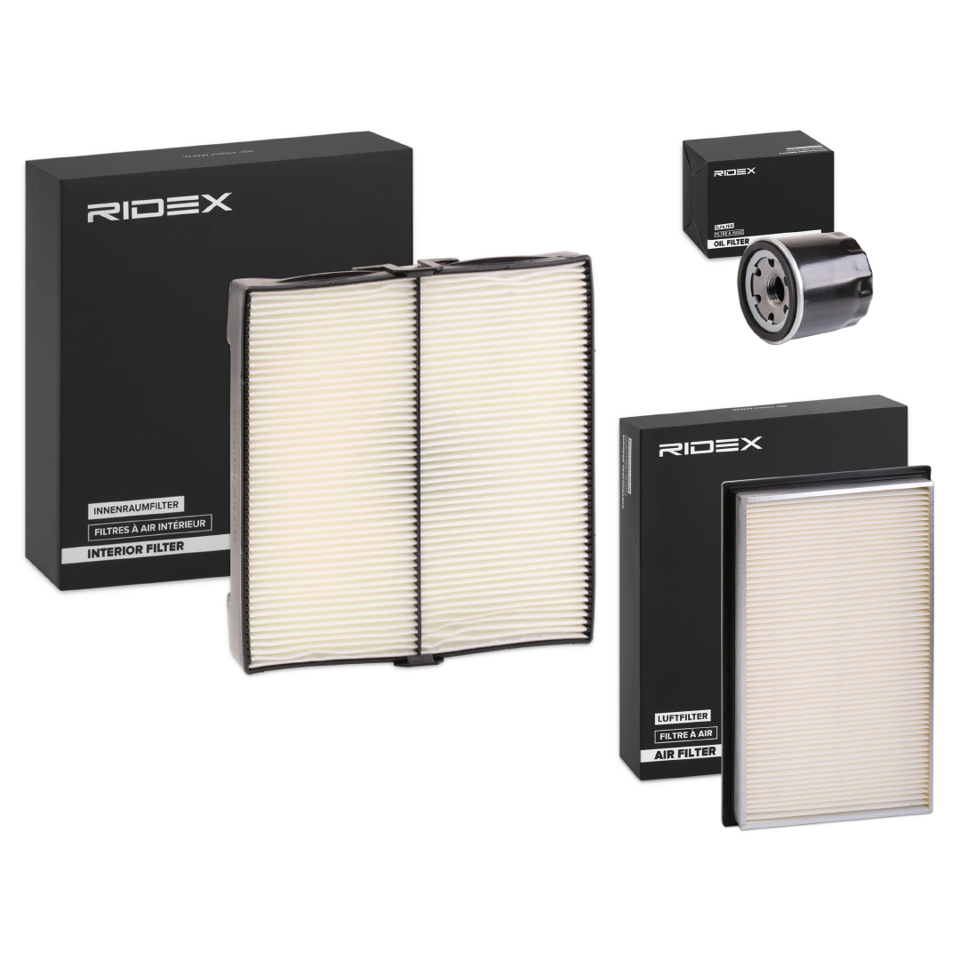 RIDEX 4055F19900