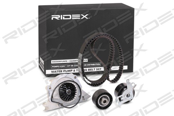 RIDEX 3096W0309
