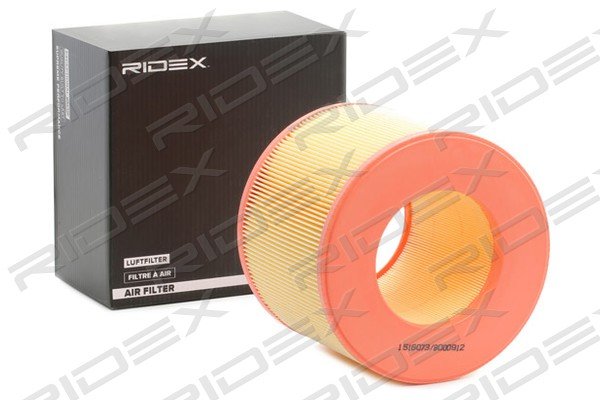 RIDEX 8A0138