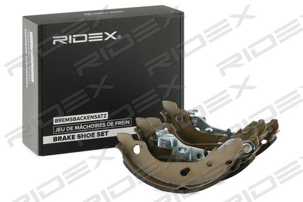 RIDEX 70B0317