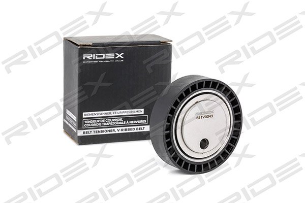 RIDEX 541V0043