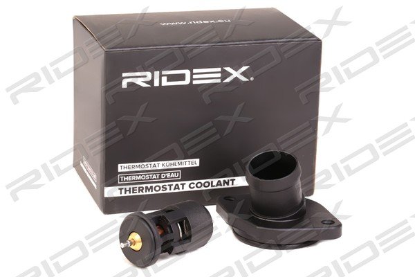 RIDEX 316T0099