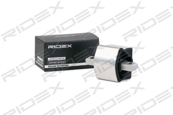 RIDEX 247E0206