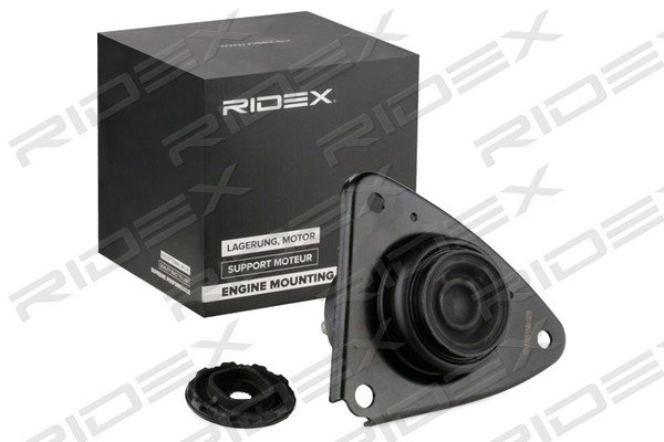 RIDEX 247E0569