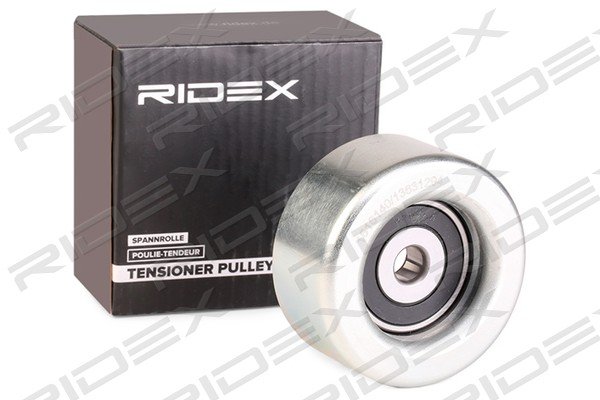 RIDEX 310T0197