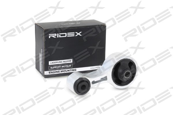 RIDEX 247E0301
