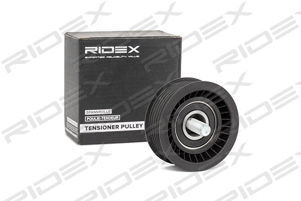 RIDEX 310T0089