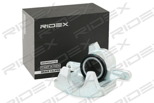 RIDEX 78B0491