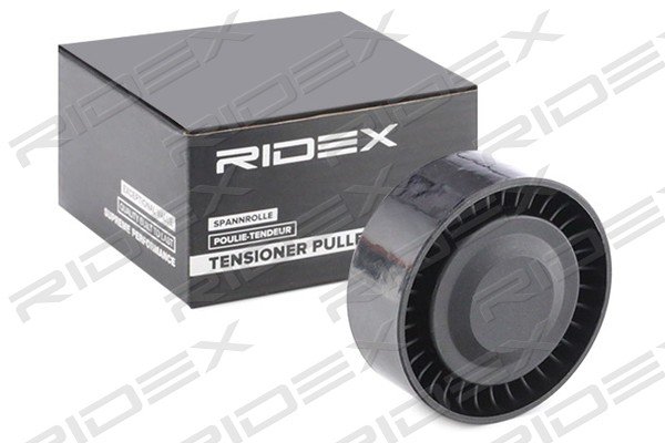 RIDEX 310T0131