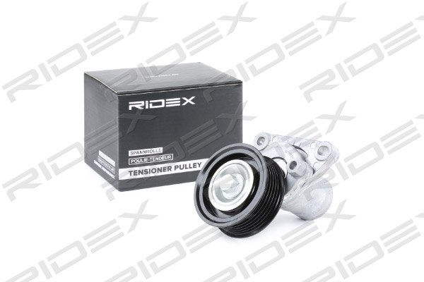 RIDEX 310T0212