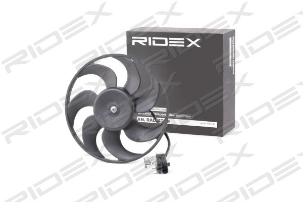 RIDEX 508R0103