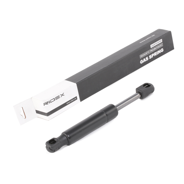 RIDEX 514G0125