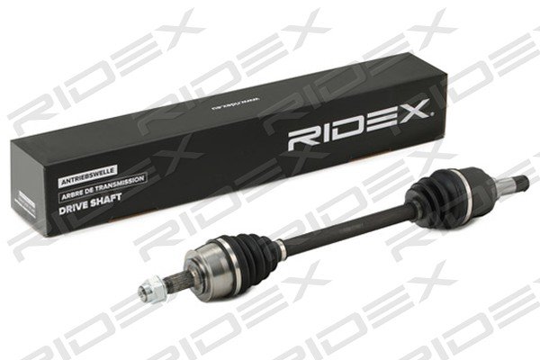 RIDEX 13D0666