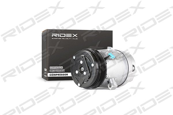 RIDEX 447K0091