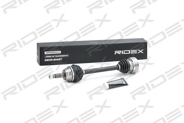 RIDEX 13D0065