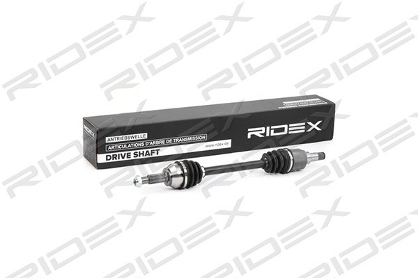RIDEX 13D0173