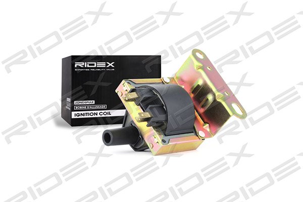 RIDEX 689C0251