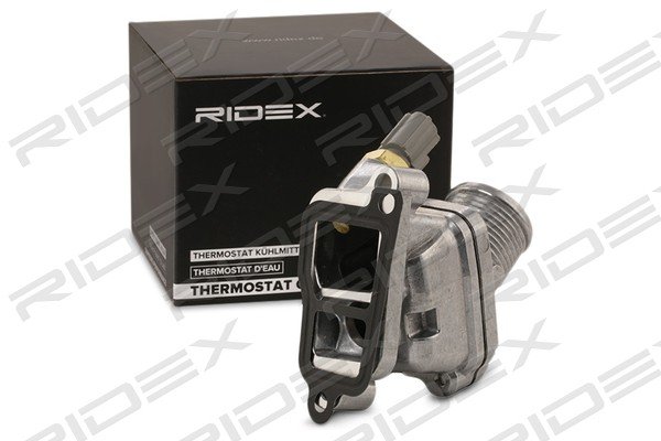 RIDEX 316T0229