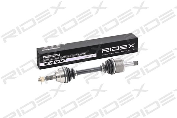 RIDEX 13D0210