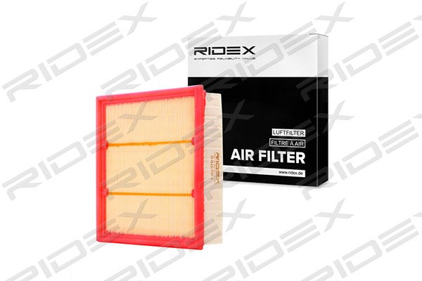 RIDEX 8A0381