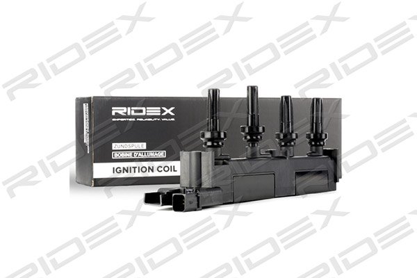 RIDEX 689C0037