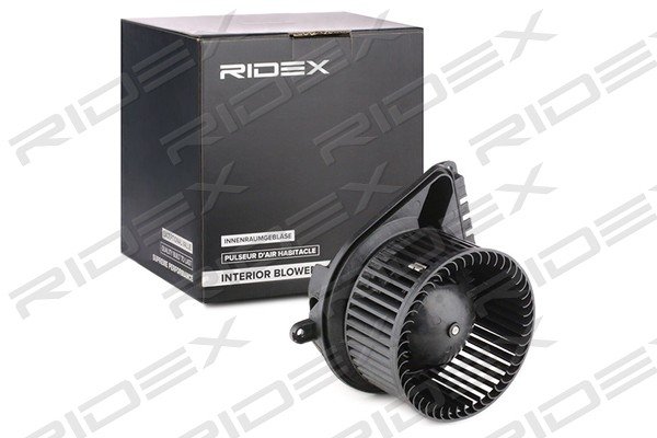 RIDEX 2669I0077