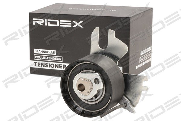 RIDEX 308T0122