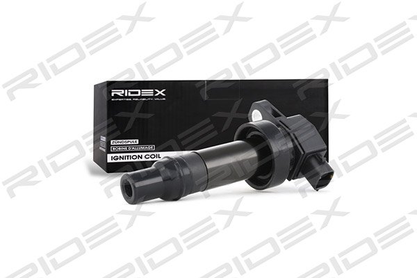 RIDEX 689C0171